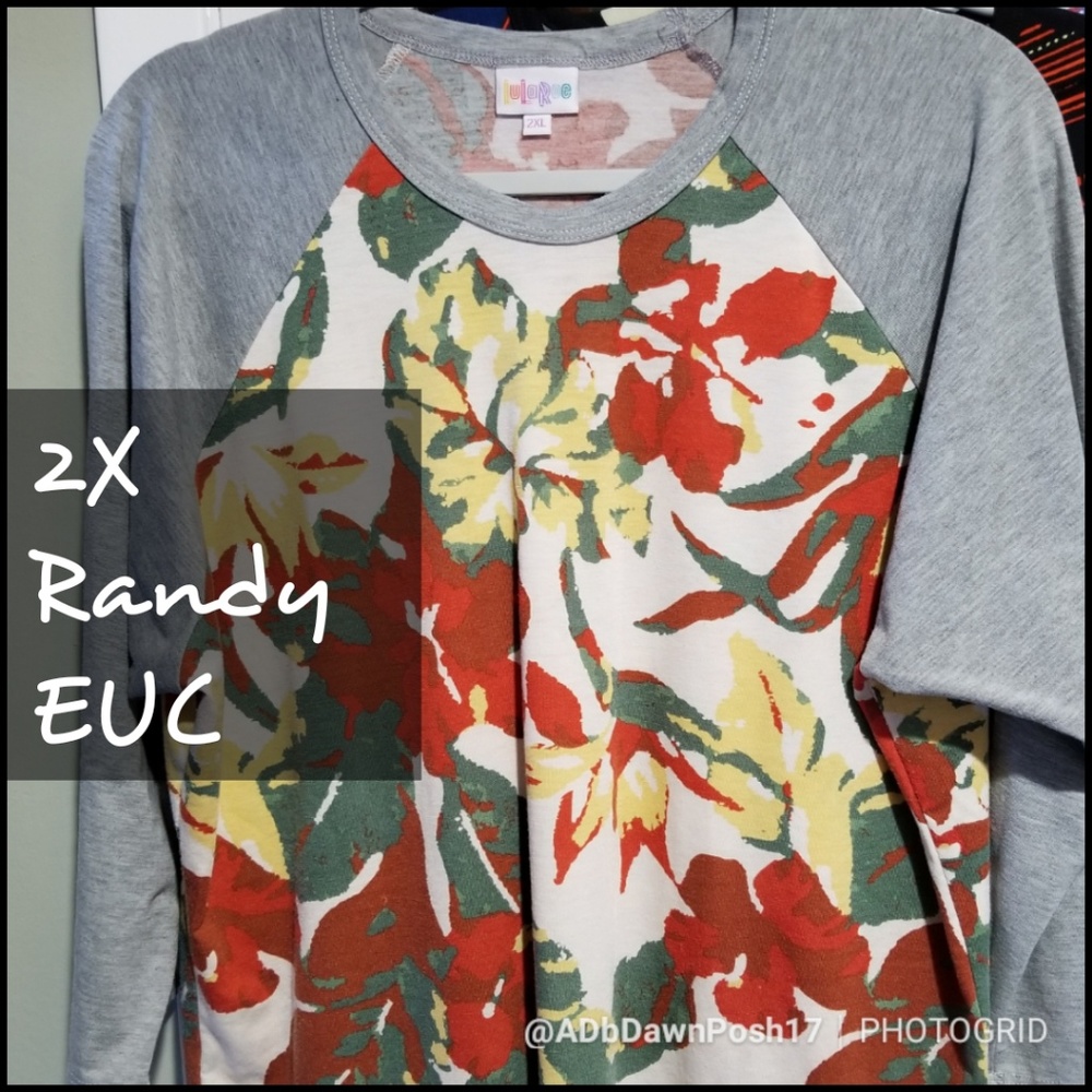 #3948 Lularoe Randy 2X (14-18) Floral Body
